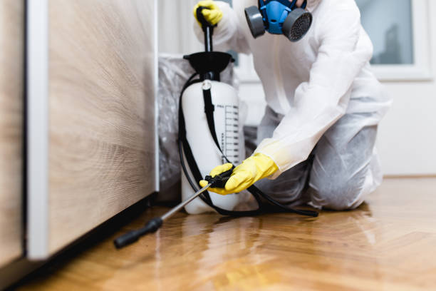 Reliable Pine Brook, NJ Pest Control Solutions