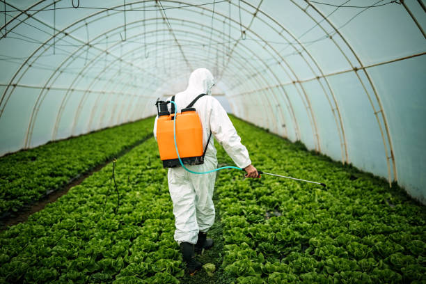 Best Local Pest Control Services  in Pine Brook, NJ