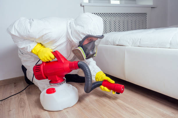 Best Rat Extermination Near Me  in Pine Brook, NJ