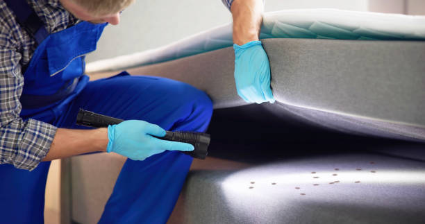 Best Pest Control Near Me  in Pine Brook, NJ