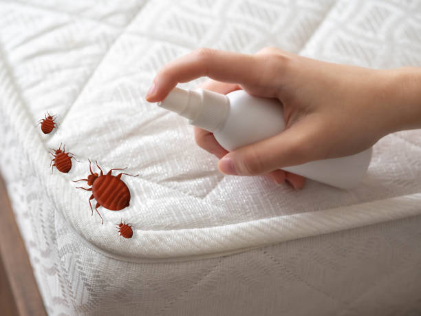 Pest Control Cost in Pine Brook, NJ