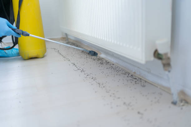 Best Commercial Pest Control Services  in Pine Brook, NJ